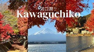 Autumn in Kawaguchiko 河口湖, rent bike for a day, places to visit/eat