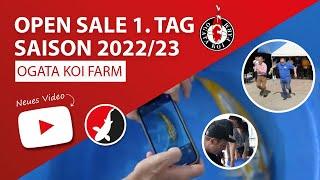 Ogata Koi Farm Open Sale 1. Tag Saison 2022/23