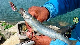 Pescando con SEÑUELO CUCHARILLA EN RÍO - Pesca con Cucharilla Tipo Mariposa