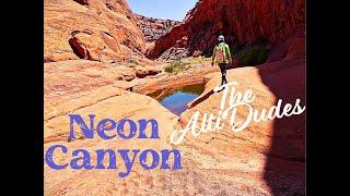 Neon Canyon...A Game Changer