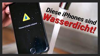 Darum sind iPhones nicht Wasserdicht! Wasserschaden erkennen & Reparieren