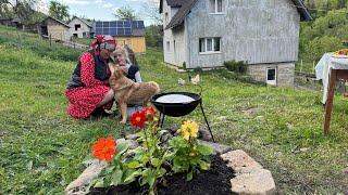 Rural life high in the mountains: cooking cabbage rolls with rice in a cauldron, peppermint tea