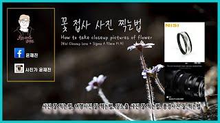 [Eng, Kor sub] 접사 사진 찍는법,꽃사진 잘 찍는법,Nici closeup lens + sigma A 50mm F1.4, 클로즈업 렌즈,휴대용 접사렌즈