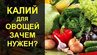 Калий для овощных культур. Калийные удобрения: значение для растений и правила применения.