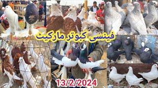 Biggest Fancy Kabootar Market | Latest Update Fancy Pigeon Price | 13/2/2024 | Fancy Kabootar Bazar