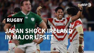 'A miracle!': Japan fans explode with joy after Ireland upset | AFP