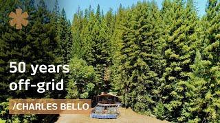 50 years off-grid: architect-maker paradise amid NorCal redwoods