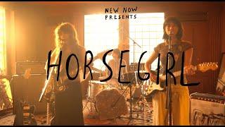 HORSEGIRL - NEW NOW