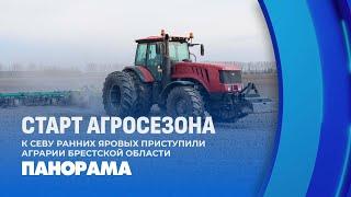 Качественно и в оптимальные сроки: в Брестской области начался сев ранних яровых. Панорама