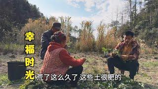 雨锅一家在地里有说有笑的，一边晒太阳一边忙着做工，幸福一家人