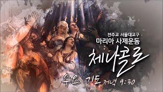 251. 보속의 큰 힘 | 영광의 신비