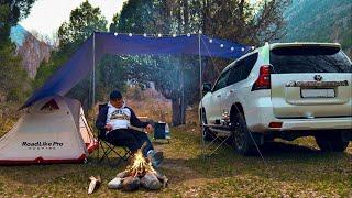 Hot Tent Camp in Relaxing. Cooking fish steaks on fire | Relaxing Cosy Shelter, Nature Sounds,ASMR |