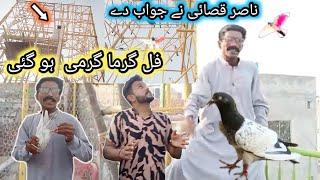 Nasir qasai ko jaal rakhne ka fayda ho gaya  | Nasir pigeon club | Khokhar pigeons club