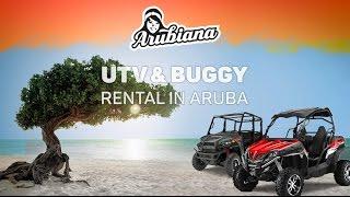 Arubiana | UTV & Buggy rental in Aruba