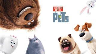 Secret Life Of Pets || #secretlifeofpets #movieisticclips