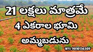 4 Acres Agriculture Land For Sale | 21 Lakhs Per Acre |#agriculturelands #agriculture #farmlands