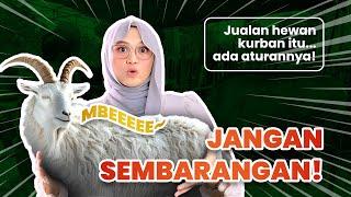 Jual Beli Hewan Kurban, Nggak Sembarangan