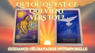 CÉLIBATAIRES : qui ou qu'est-ce qui vient vers toi ? Guidance intemporelle et datation 🪞