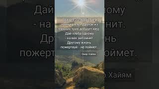 Мудрость слова  Цитаты со смыслом! Правда жизни 