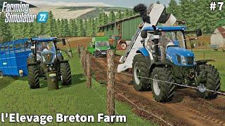 New Animals in The Farm, Mowing & Windrowing Grass│L'Elevage Breton│FS 22│Timelapse#7