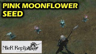 How To get Pink Moonflower Seed: Life In The Sands Side Quest | NieR Replicant ver 1.22 (2021)