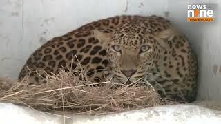 Gujarat : Winter Care at Ahmedabad Zoo | Special Arrangements for Animals and Birds | News9