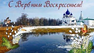 Рисованное видео "С Вербным Воскресеньем! Видео поздравление с христианским праздником!