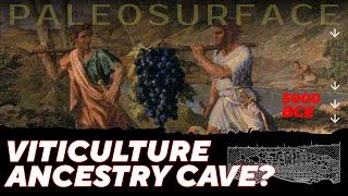 Viticulture Ancestry Cave. Documentary follows the Getahovin archaeological expedition