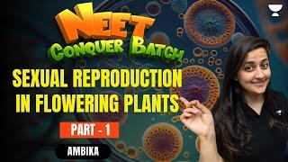 Sexual Reproduction in Flowering Plants | Part - 1 | NEET 2024 Conquer Batch | Ambika Sharma