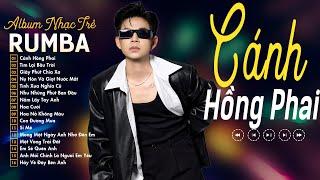 CÁNH HỒNG PHAI RUMBA - TUYỂN TẬP CÁC BÀI HÁT RUMBA HAY NHẤT HIỆN NAY - ĐẠT LONG VINH RUMBA