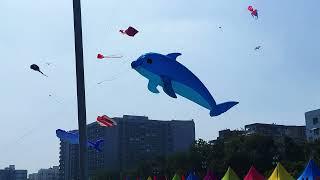 International Kite Festival 2025 🪁 | Ahmedabad Kite Festival 🪁 | Riverfront Kite Festival