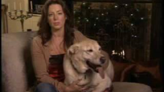 Sarah McLachlan "Silent Night" SPCA Commercial