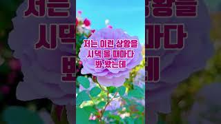 시아버지 잔소리에 딱한마디 했습니다 #시댁썰 #실화사연