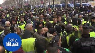 'Yellow Vests' push past police attempting to block their route