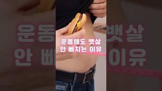 운동해도 뱃살 안 빠지는 이유, 의외로 간단합니다