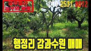 기산면 행정리 과수원 매매 #행정리 토지매매 #과수원매매 #왜관부동산 #길부동산 #왜관길부동산