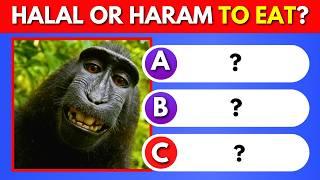 Haram or Halal Animals To Eat | Islam Quiz 