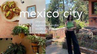 mexico city vlog | a week in mexico