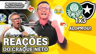 SECOU?! OLHA COMO O CRAQUE NETO REAGIU A PALMEIRAS 1X3 BOTAFOGO PELO BRASILEIRÃO