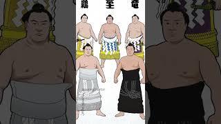 2 Ozeki Chasing 5 Yokozuna | 5横綱を追いかける2大関