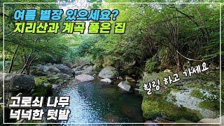 여름 별장 있으세요 ? 지리산과 시크릿한 계곡 등산로 텃밭까지 품은 집 경남 산청군 시천면 저절로 힐링이 되는 집 매매 합니다 산청부동산