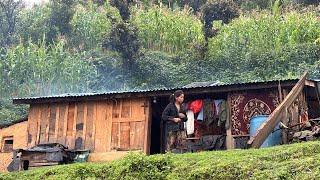 Daily activities of village people | Organic Cooking in mountain village | TheVillageNepal