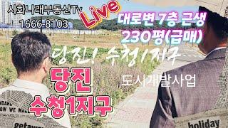 [부동산 열정철학 Live] 당진수청1지구 근생 대로변 7층 보상토지(급매) 홍보 (문의)010-5238-3483