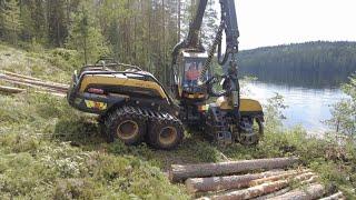 Mökkitontin harvennus metsäkone & Moto Paavo