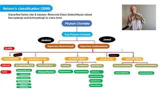 Fish Classification part I