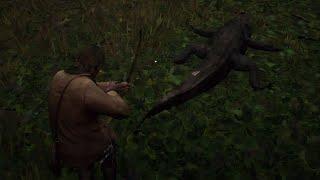 Can kill Alligators with Bow & Arrow #rdr2 #CanWeDoIt