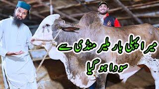 My First SODA from Malir Cow Mandi | Cattle Market Karachi | Bakra Eid 2024