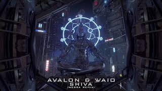 Avalon & Waio - Shiva (WEBRA RMX)