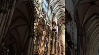 Why you need to visit Koln's Cathedral market during the day too..... #travel #traveltips #travel