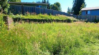 Homeowner COULD NOT Control This OVERGROWN Backyard! Satisfying Lawn Transformation #satisfying